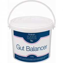 Protein Equine Premium Gut Balancer Häst 3,5 kg