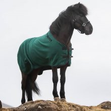 Top Reiter Fleecetäcke Skogsgrön bild1