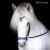 Hrimnir Headstall Heritage F Blue Lagoon White Horse