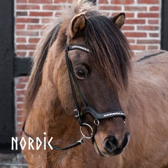 Nordic Horse Anatomisk Nosgrimma Vita