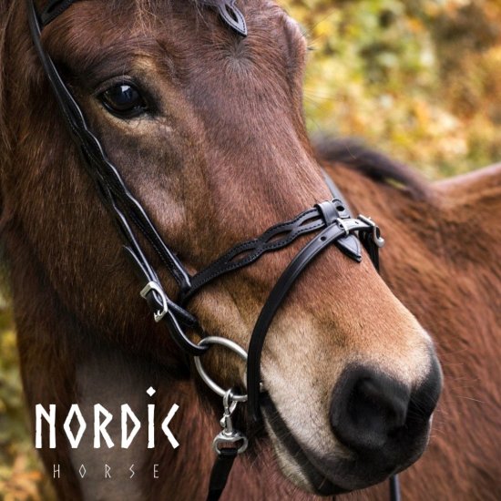 Nordic horse Kombinerad Nosgrimma Mönster 15 bild1