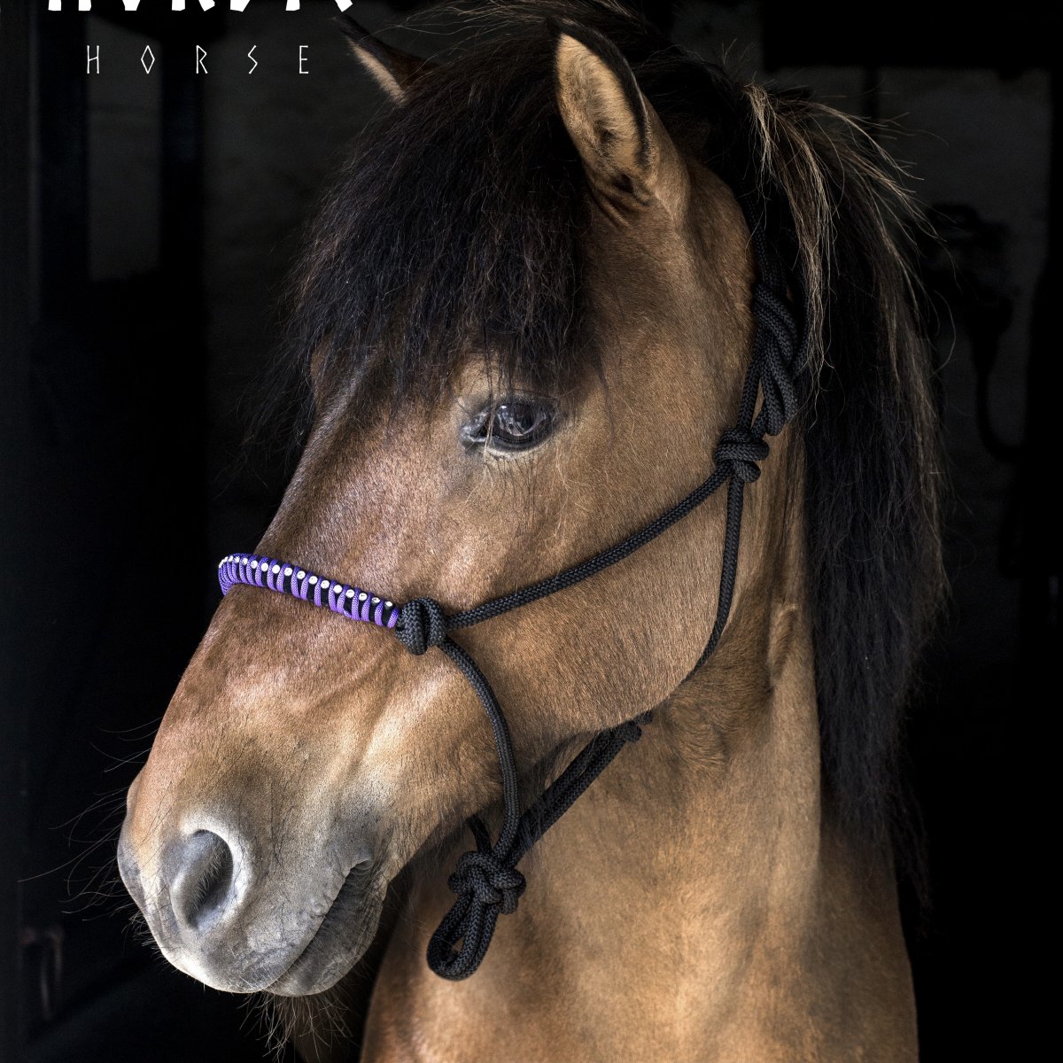 Product Image for Nordic Horse Repgrimma med stenar Lila